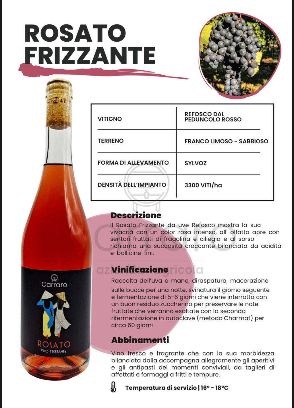 ROSATO FRIZZANTE - Carraro