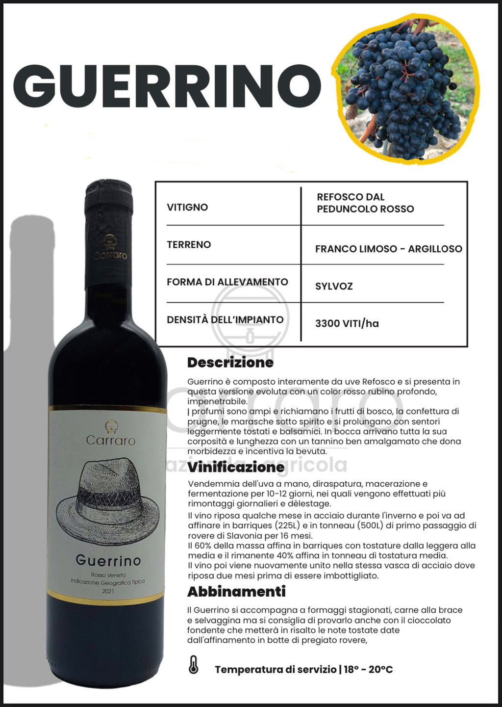 REFOSCO GUERRINO  Carraro
