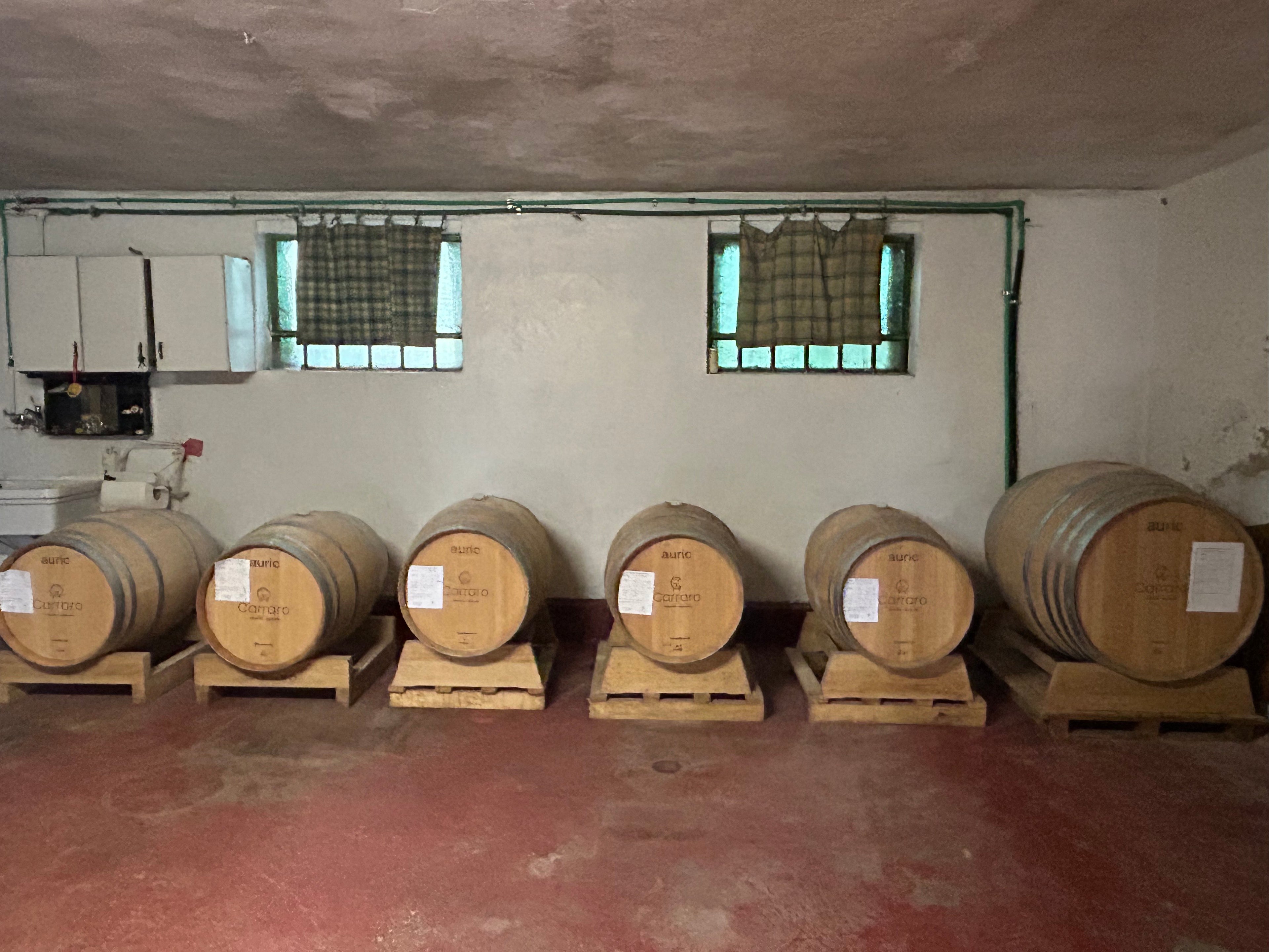 Pinot Bianco - cantina Carraro